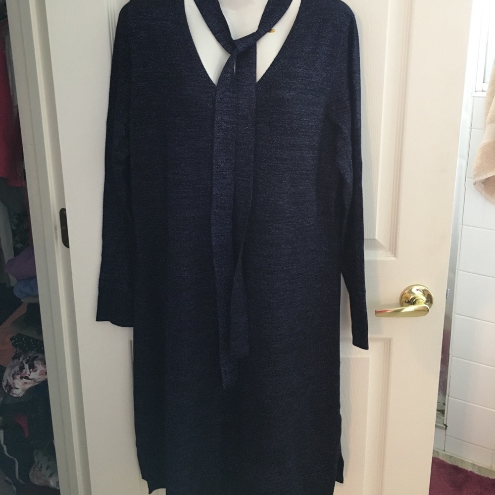 NWT Stunning Glitter Dress