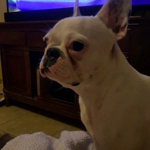 Meet your Posher, Gina