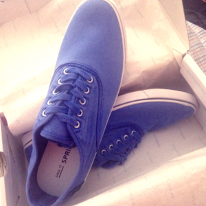 Audren Casual Blue Shoes