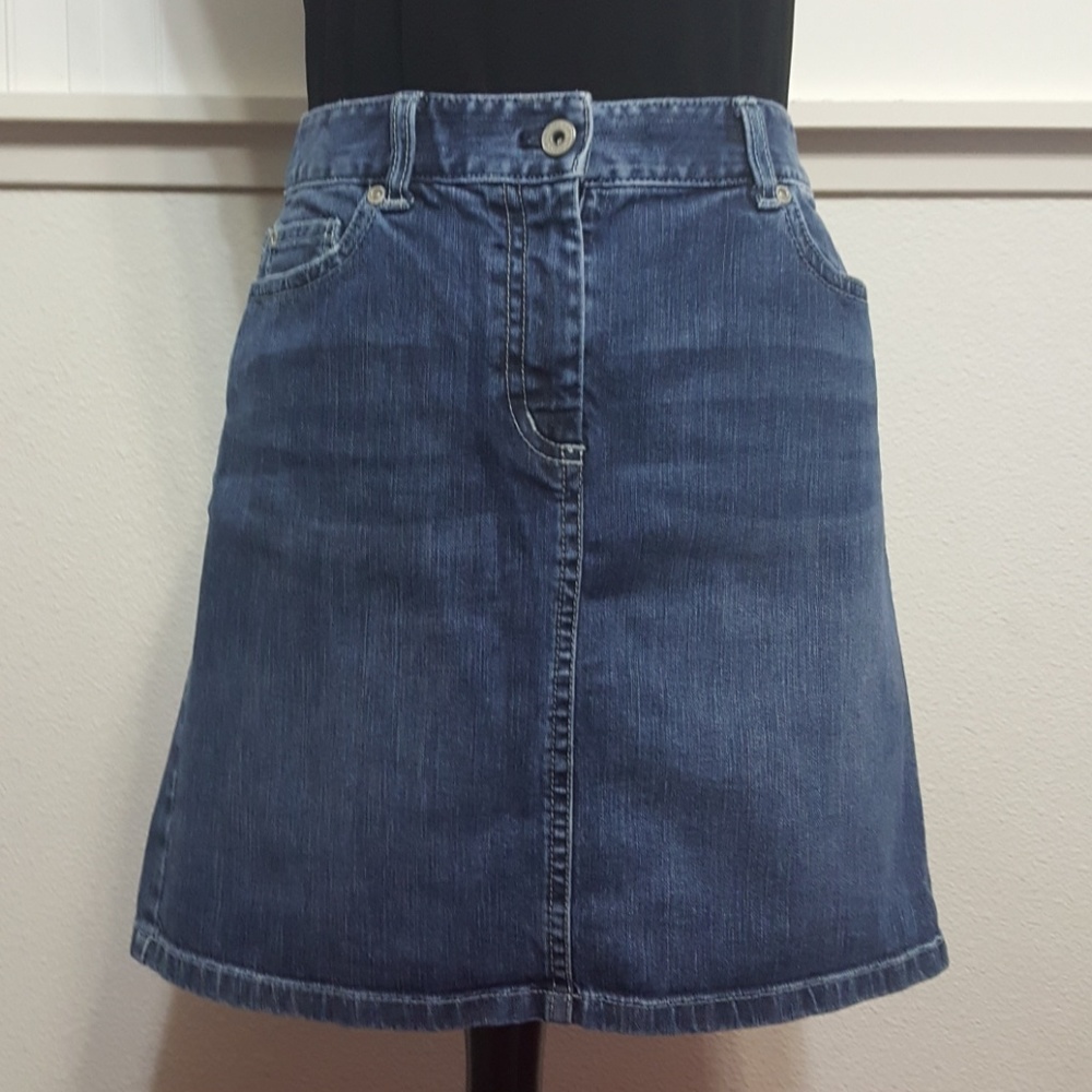 Ann Taylor Skirt