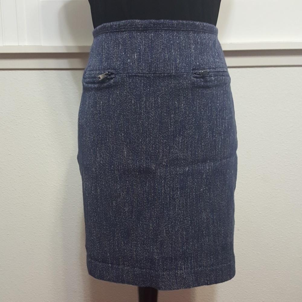 Ann Taylor skirt