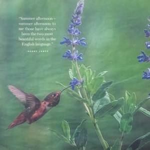 Meet your Posher, Shirley