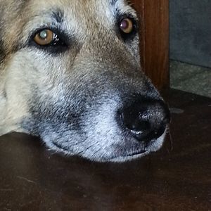 Meet your Posher, Denise