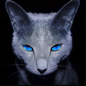 Meet your Posher, Valerie