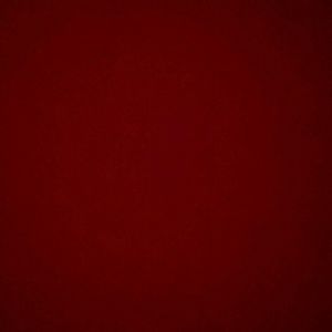 Meet your Posher, Dannia