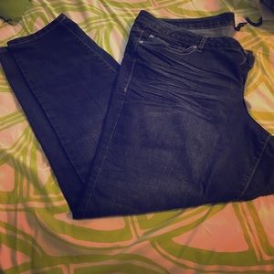 Torrid jeans