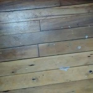 Meet your Posher, Terry