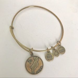 Alex and Ani Aries Bangle and Charm