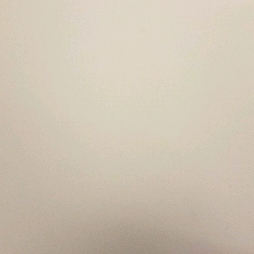 Meet your Posher, Michele