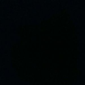 Meet your Posher, Jalen