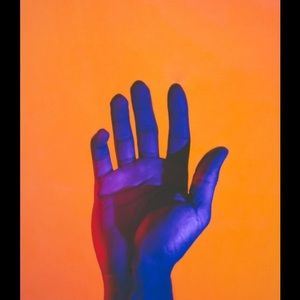 Meet your Posher, Sasha