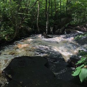 Meet your Posher, Juliana