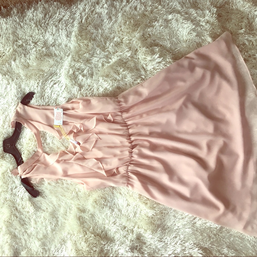 BRAND NEW BCBG blush chevron dress