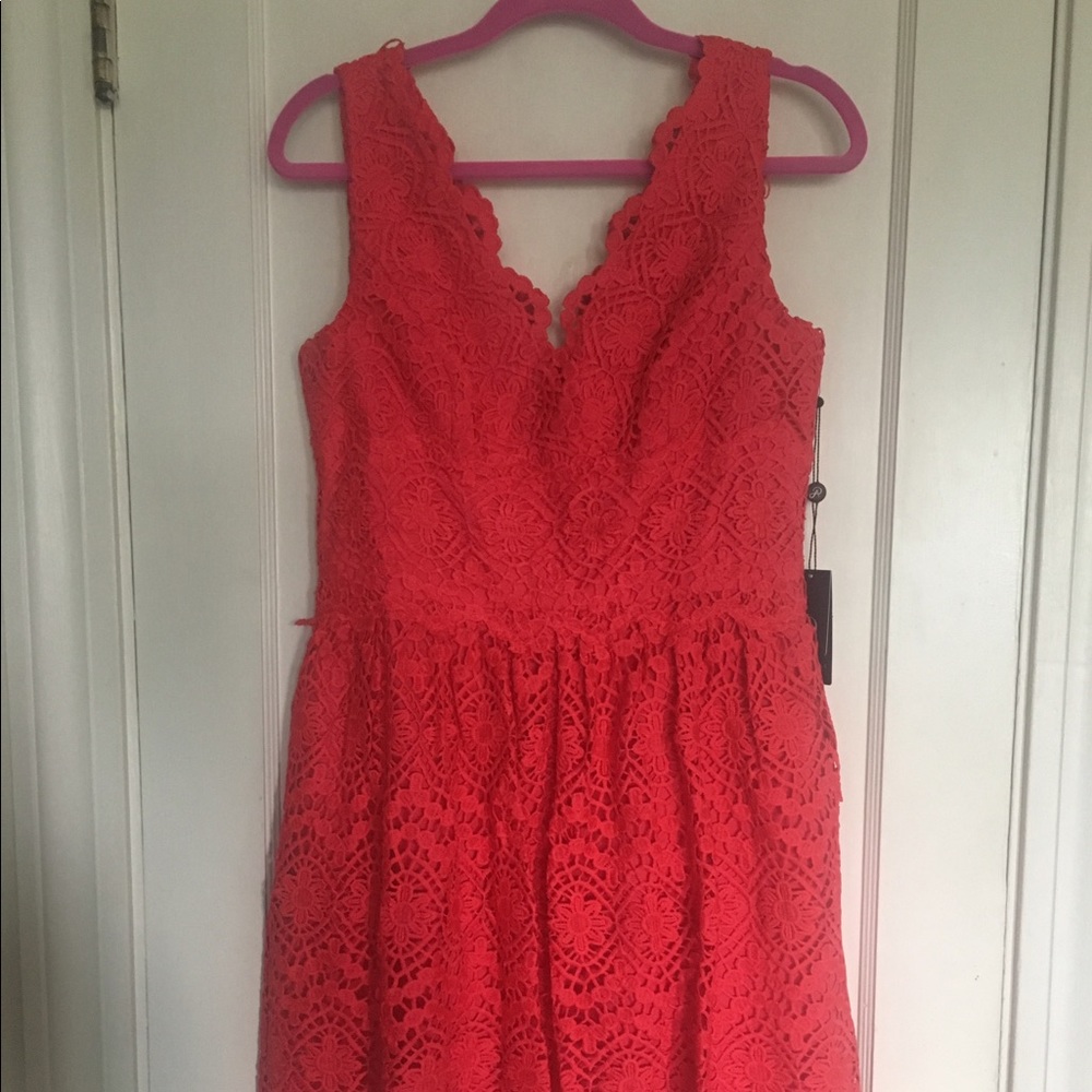 Adrianna Papell Coral Lace Dress
