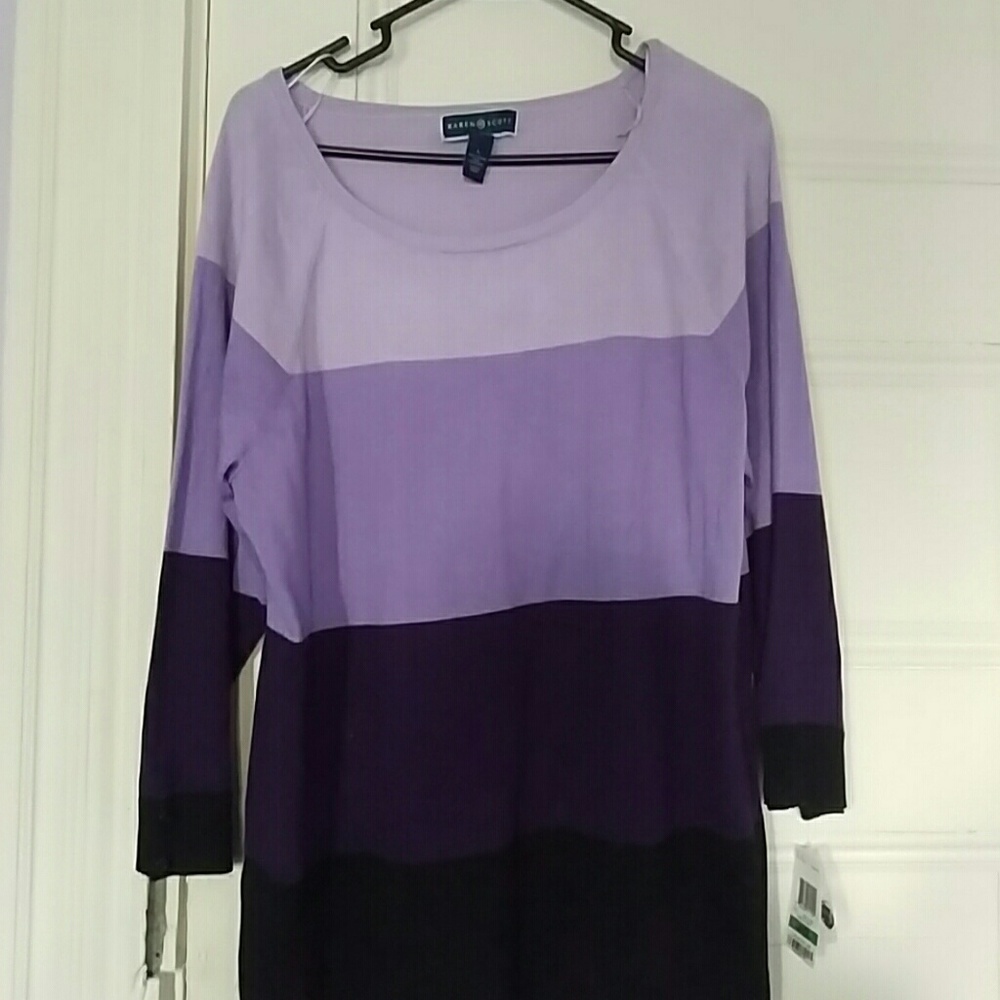 Karen Scott Large Purple Sweater