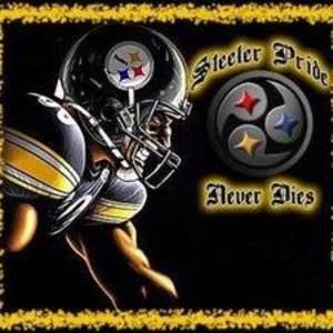 Meet your Posher, Kip