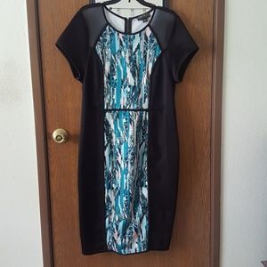 Bodycon Panel Dress