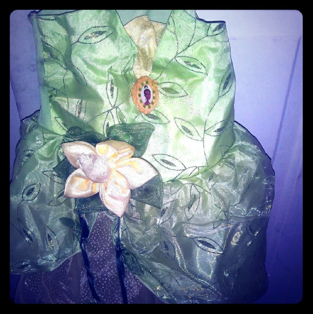 Princess Tiana Costume