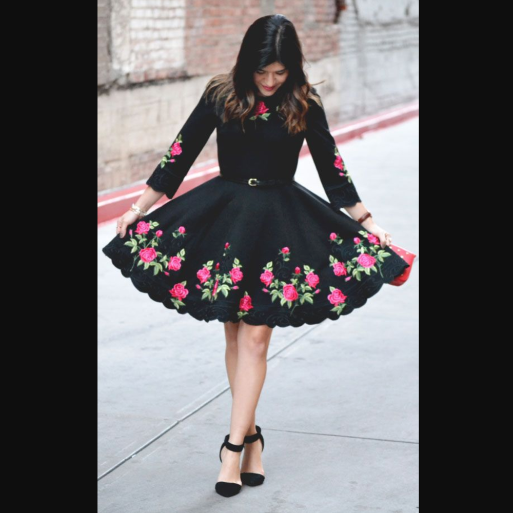 NWOT Embroidered Dress