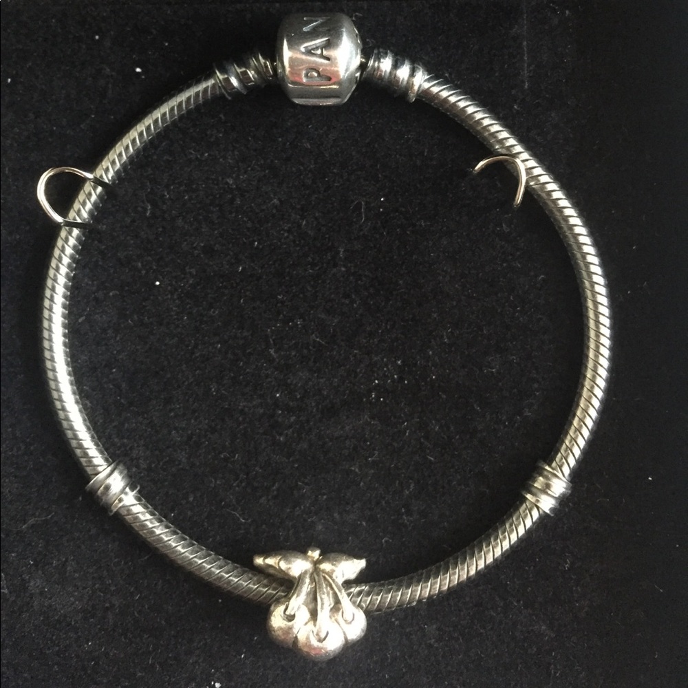 Chamilia charm