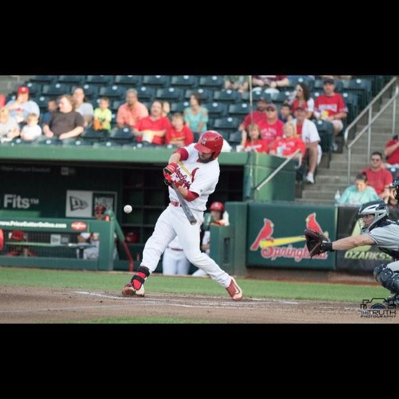 Meet your Posher, Casey - Picture 1 of 1