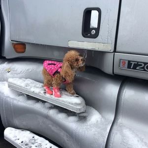 Meet your Posher, Sergio parra amparo