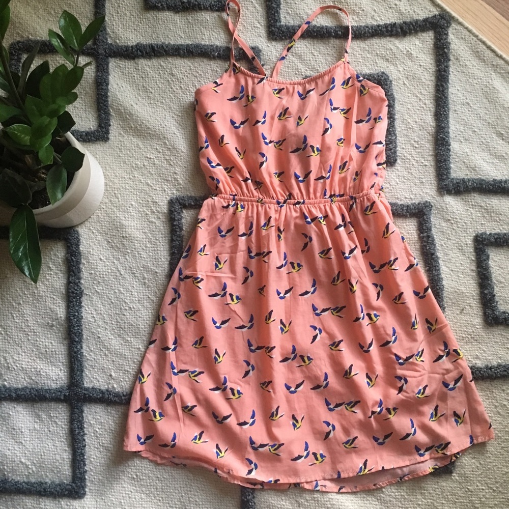 Boutique Bird Print Sundress