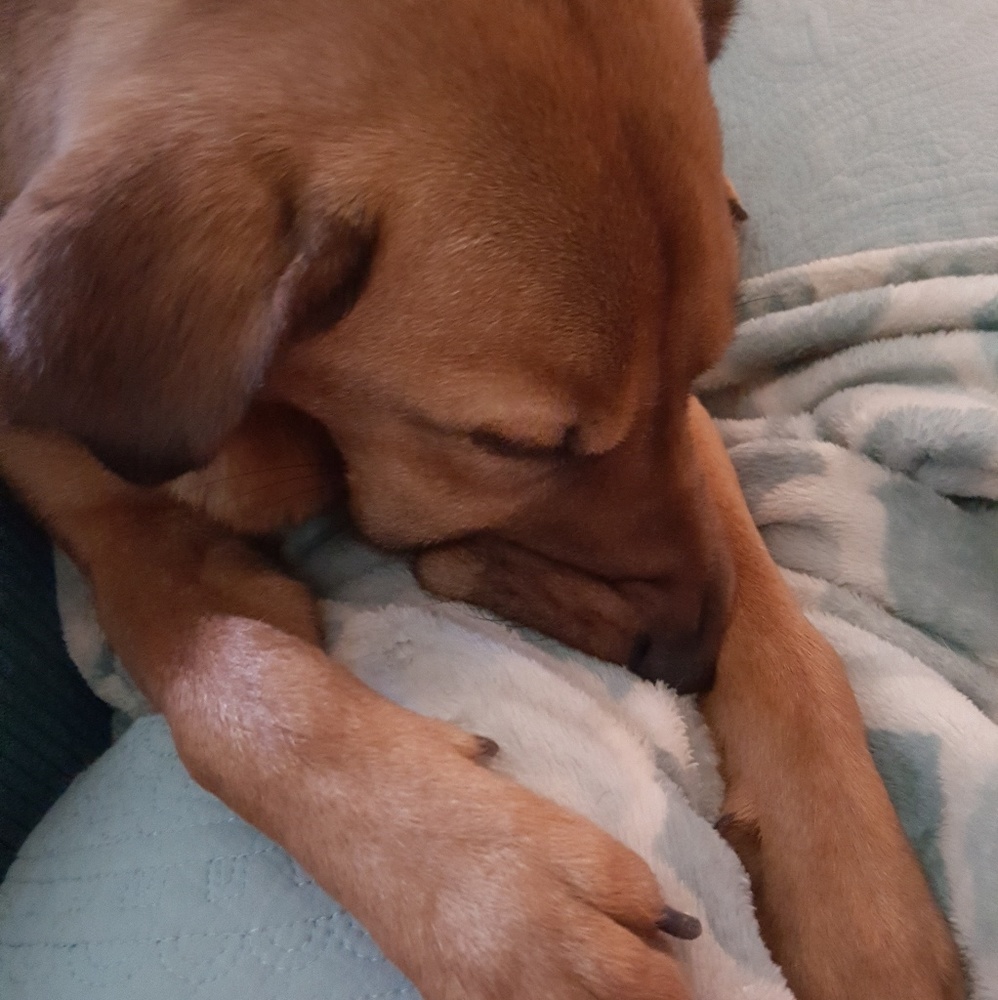 SUMMER SALE! BOGO Free!