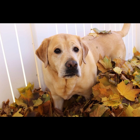 Meet your Posher, Mallory - Picture 1 of 1