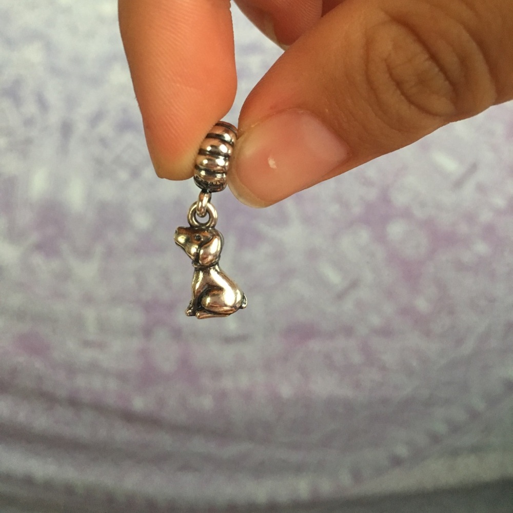 Pandora dog charm