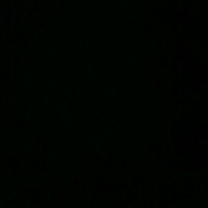 Meet your Posher, Shelby