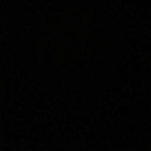 Meet your Posher, Chase