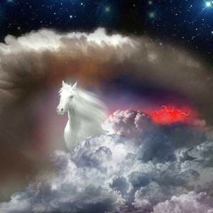 Meet your Posher, Apostle teresa