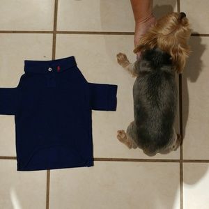 Ralph Lauren colored shirt for Dog