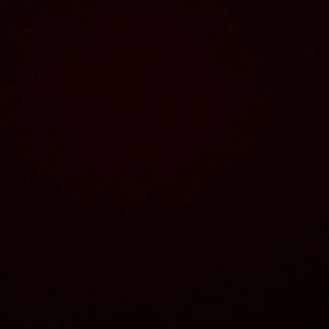 Meet your Posher, Ali