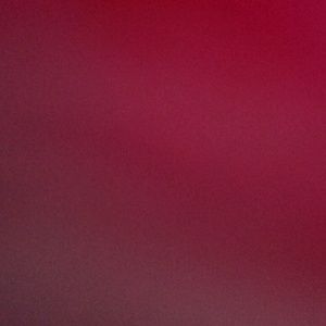 Meet your Posher, Mya