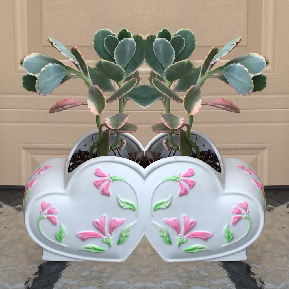 Meet your Posher, Mar