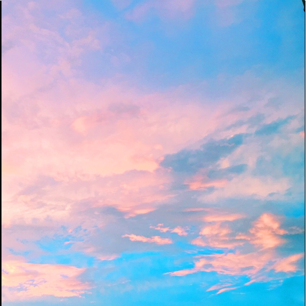 Meet your Posher, Callie