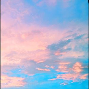 Meet your Posher, Callie