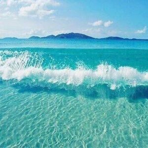 Meet your Posher, Imanni