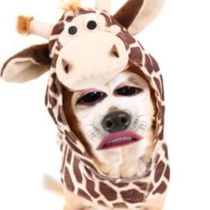 Meet your Posher, Chloe