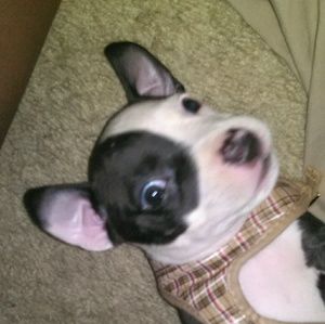 Meet your Posher, John