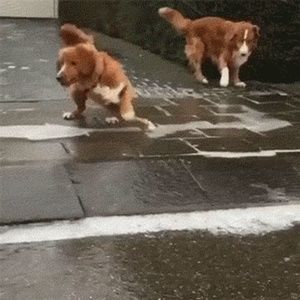 Meet your Posher, John