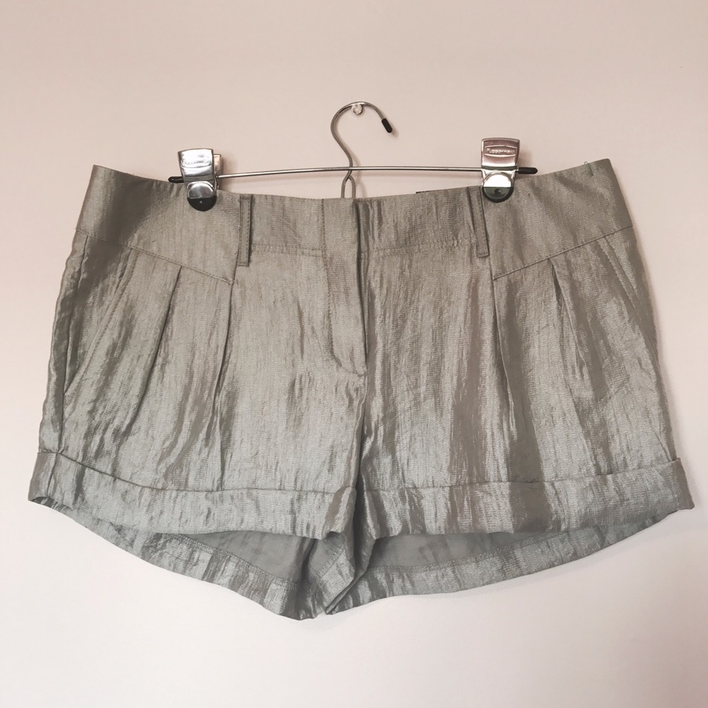 Shiny Silver Express Shorts