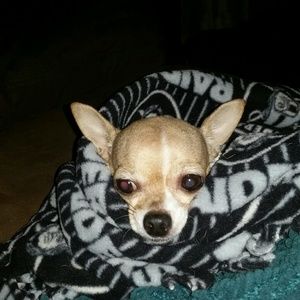 Meet your Posher, Brenda