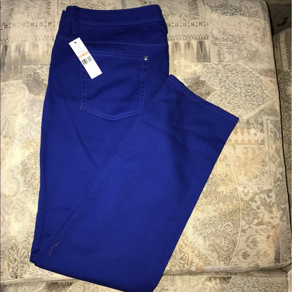 Chaus Sports Royal Blue Pants