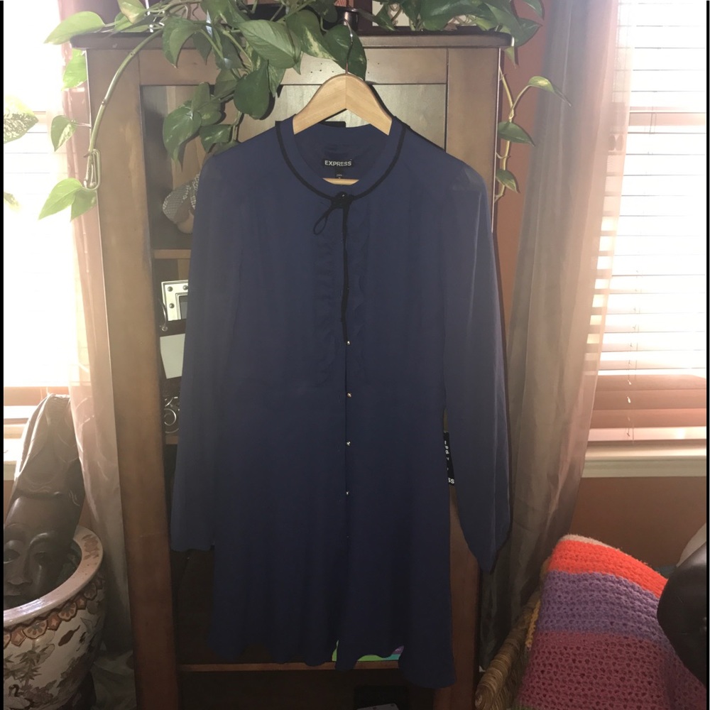 Express Shirt Dress