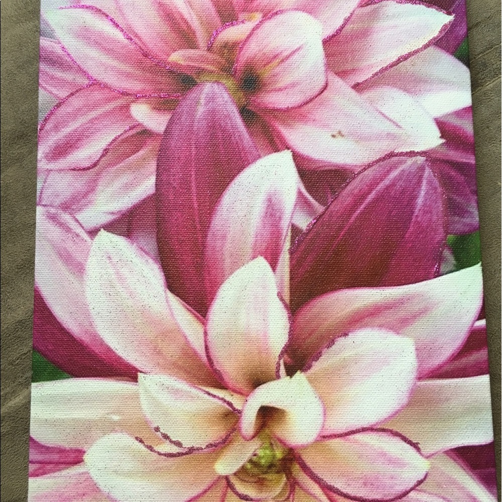 pink and white flower embellished photograph