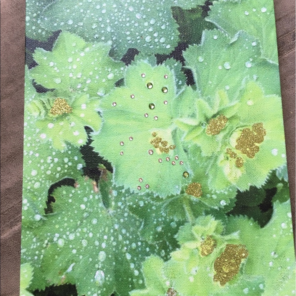 embellished green leaf photograph