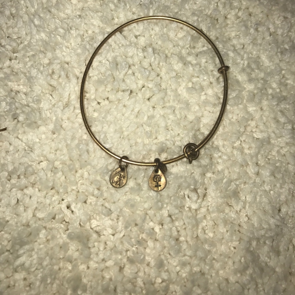 alex & ani bracelet